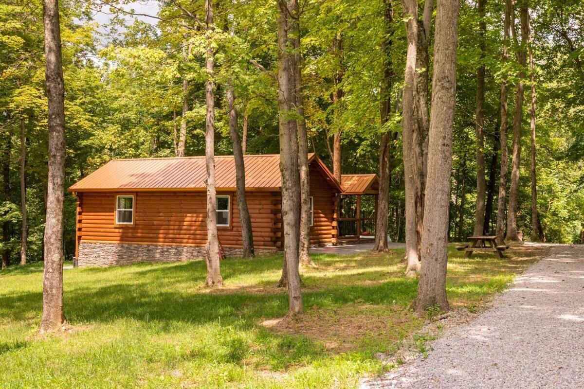 Secluded Wooded Cabin Near The Hocking Hills New Straitsville Kültér fotó